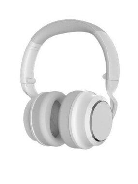 Wyze White Noise Cancelling Headphones with Travel Case